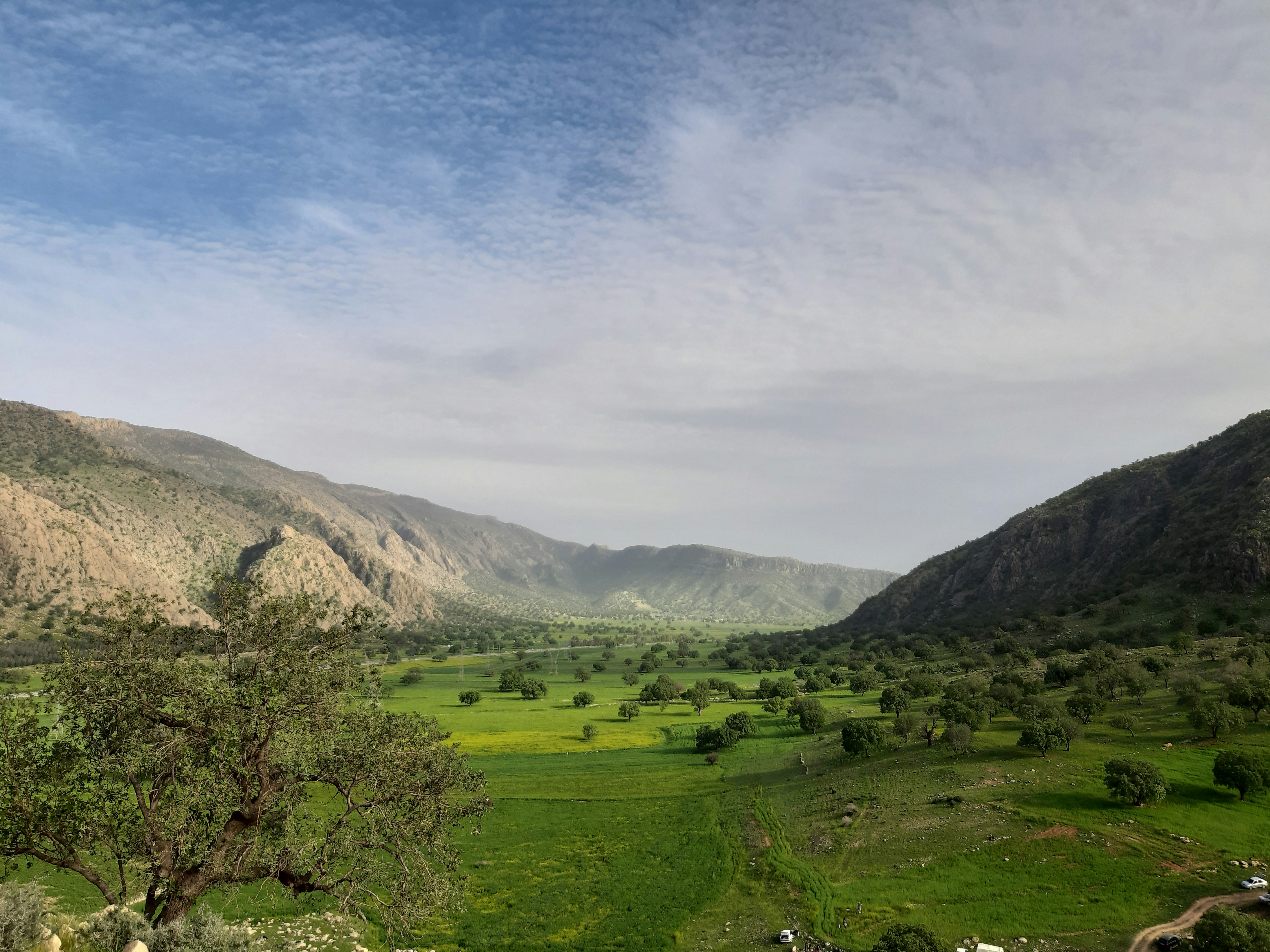 Agricultural field with mountains